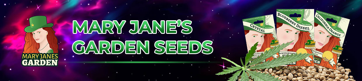 Mary Janes Garden | Marijuana Seeds Australia | Rocket Seeds