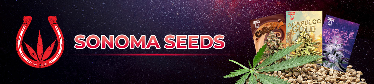 Sonoma Seeds | Marijuana Seeds | Australia | Rocket Seeds