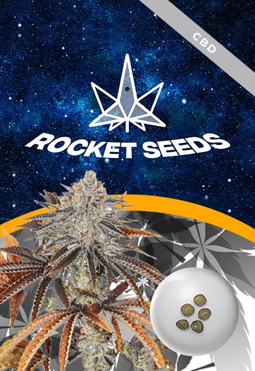 Alien-Technology-Regular-Strain-Marijuana-Seeds