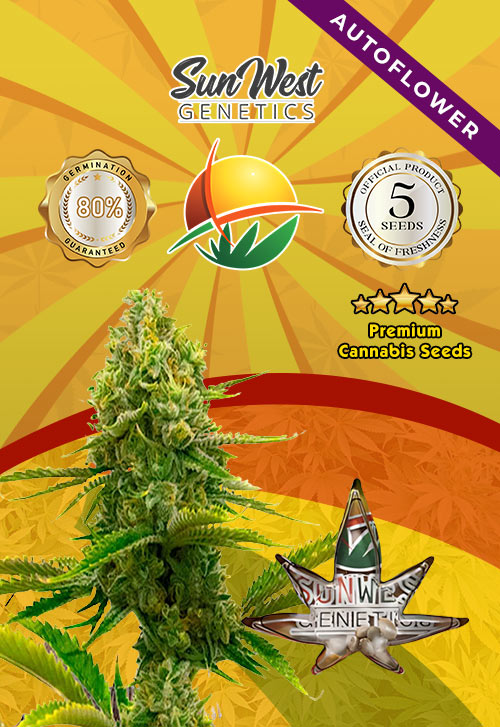 Sunwest Genetics | Marijuana Seeds Australia | Rocket Seeds