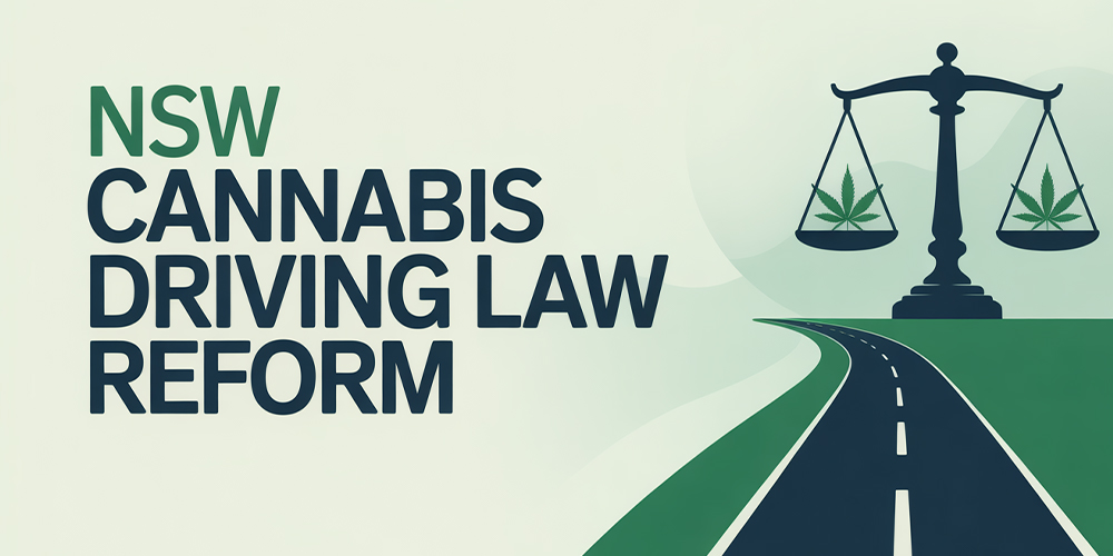 nsw-mps-push-to-reform-driving-laws-for-medicinal-cannabis-users